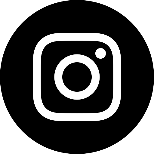 Brizon – Tanzunterricht und Performance – instagram-Symbol